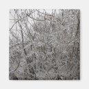 Search for icy magnets Branches