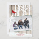 Search for birch trees christmas cards Rustic