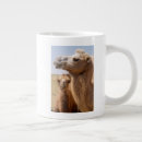 Search for camelus Camelus bactrianus