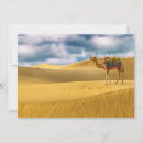 Search for camel desert cards Sand dune