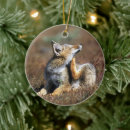 Search for foxes christmas tree decorations Baby animals
