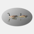 Search for gosling stickers Wildlife