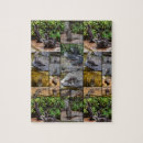 Search for otter puzzles Wildlife