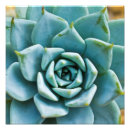 Search for aqua and brown art Green