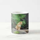 Search for wild africa mugs Lion