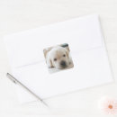 Search for dog napping stickers Pet