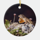 Search for displaying christmas tree decorations Photography