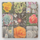 Search for cacti coasters Succulent