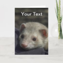 Search for pet ferret cards Pets