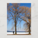 Search for solitude postcards Park