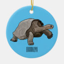 Search for tortoise christmas tree decorations Shell