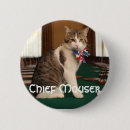 Search for downing badges Cat