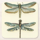Search for dragonflies coasters Animals