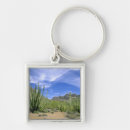 Search for pipe organs key rings Flora
