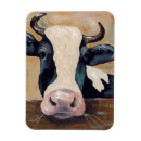 Search for farm magnets Cows