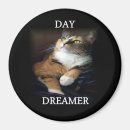 Search for dreamer magnets Cat