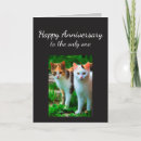 Search for funny cat anniversary cards Cute