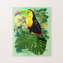 Search for rainforest puzzles Toucan