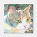 Search for calico magnets Animals