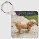Search for lhasa apso key rings Animal