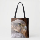 Search for prey bags Falcon