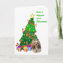 Search for lhasa apso christmas cards Pets
