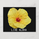 Search for single flower postcards Yellow