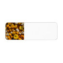 Search for pumpkin return address labels Leaves