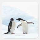 Search for low temperature stickers Penguin