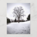 Search for poplar tree postcards Landscape