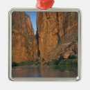 Search for big bend national park christmas tree decorations Nature