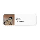 Search for chickadee return address labels Black capped chickadee