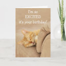 Search for cats meow birthday cards Funny