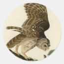 Search for audubon stickers John james audubon