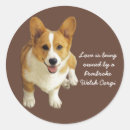 Search for pembroke welsh corgi stickers Puppy