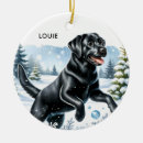Search for black lab christmas tree decorations Labrador retriever