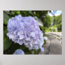 Search for roadside posters Flower