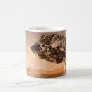 Search for curiosity mars rover mugs Descending