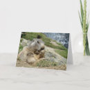 Search for switzerland birthday cards Alps