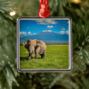 Search for kenya christmas tree decorations African elephant