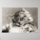 Search for cute animal drawing posters Kitten