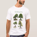 Search for bonzai tree Japanese