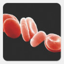 Search for electron stickers Biology