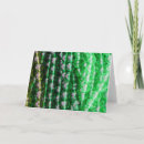 Search for necklace cards Jewellery