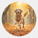 Search for running dog stickers Golden retriever