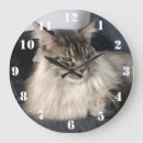 Search for maine clocks Cat