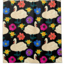 Search for black swan Background