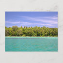 Search for impressive postcards Palms