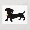 Search for doxie postcards Pet
