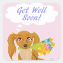 Search for flowers get well stickers Sympathy